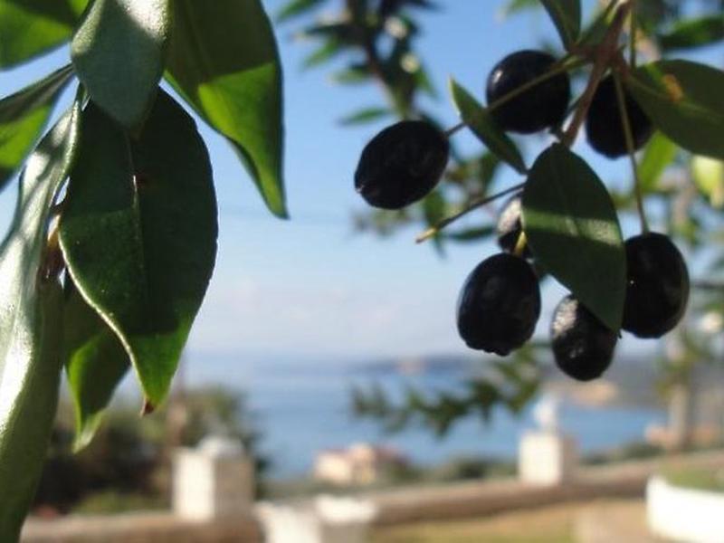 88D29C9BDDF3C2566EB239422C5A71E6