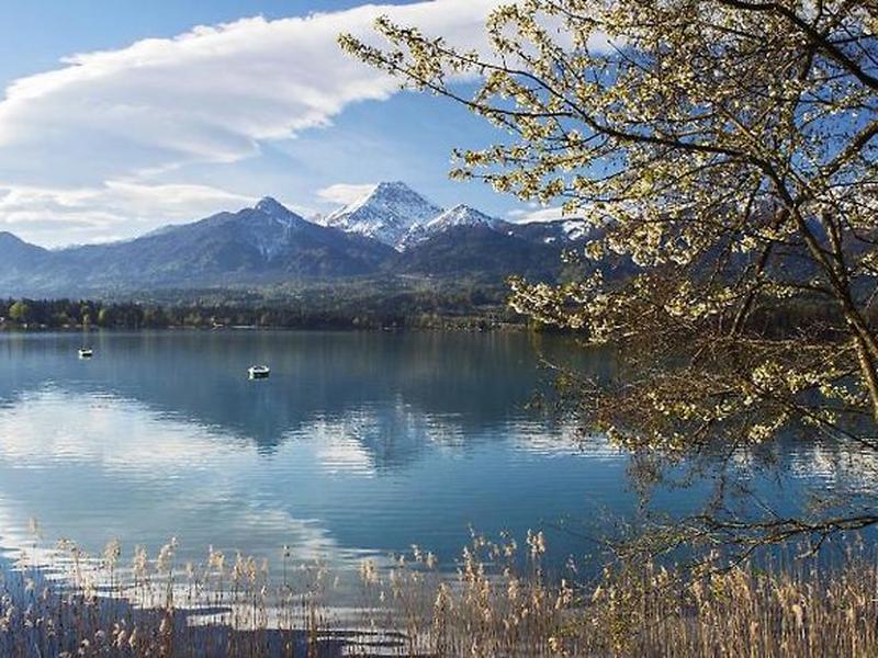 974080937667331C6B41EAD0BA1A378A