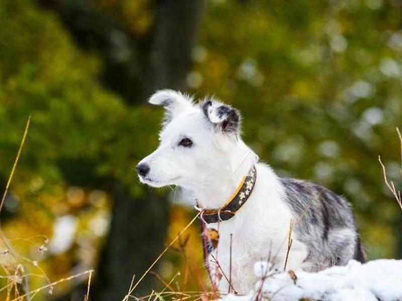 C106A3129B2D52FE8CF8682430389A4C