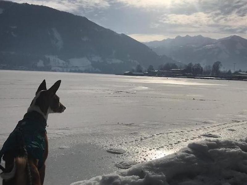 0AA2A1E47ECBADEA2F9591EE84807E8F