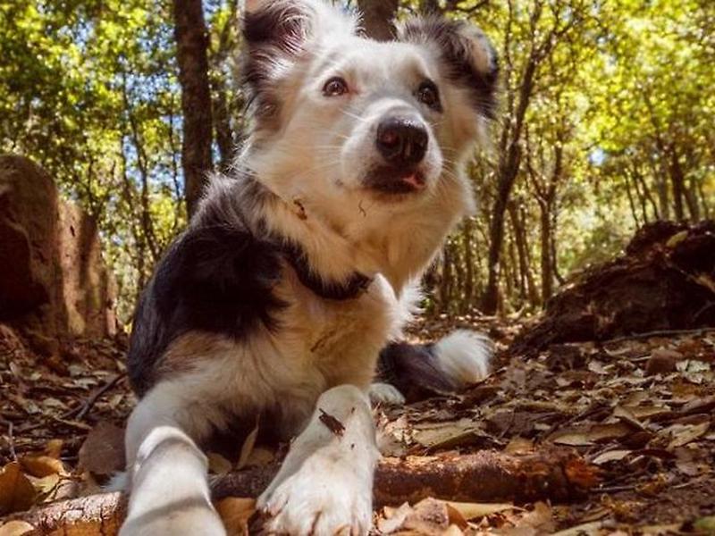 08154C45642B928A05CC891900529981