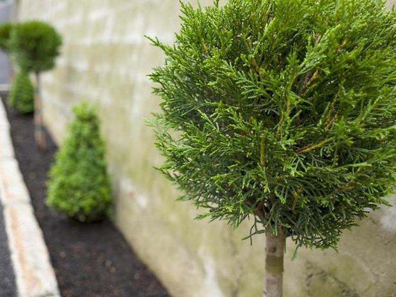 B307667978EC717FB7DB99FDCD7A6364