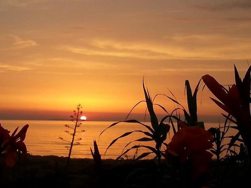 1869A97756808998CFE5B4FA2C66801F