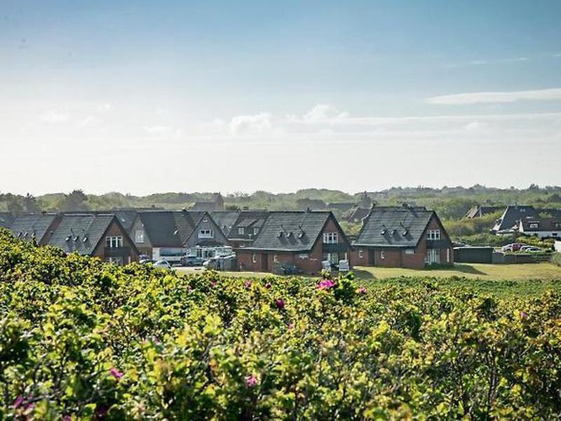 E58B35FFCFF128FD736141AC95553F49