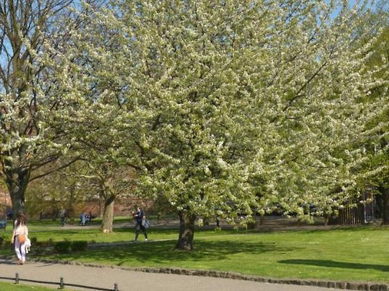 7AD9FF5C4AE14E38D832B0B8495379E8