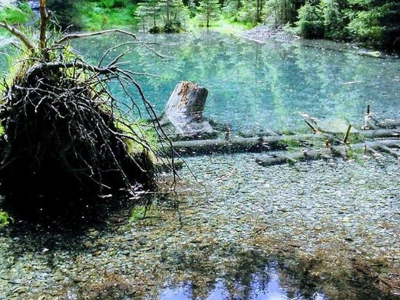 B7063BB6673425F3F98AE7A269F0E4FB