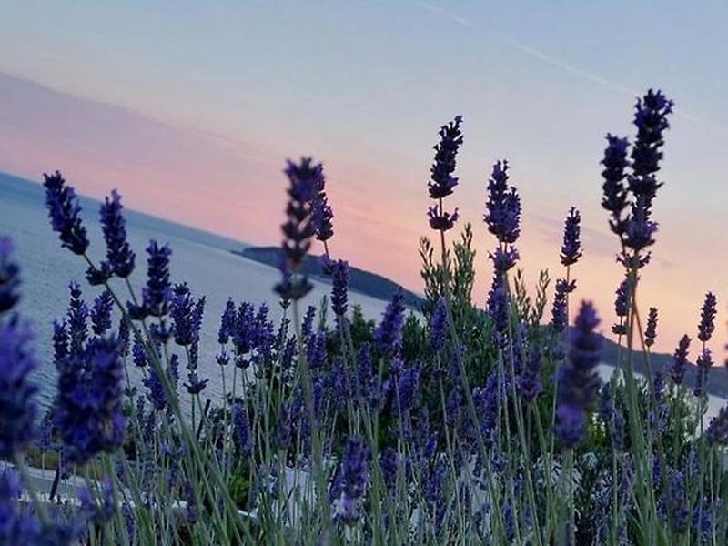 C82A51B24D1123AD4E65ADF4A288C792