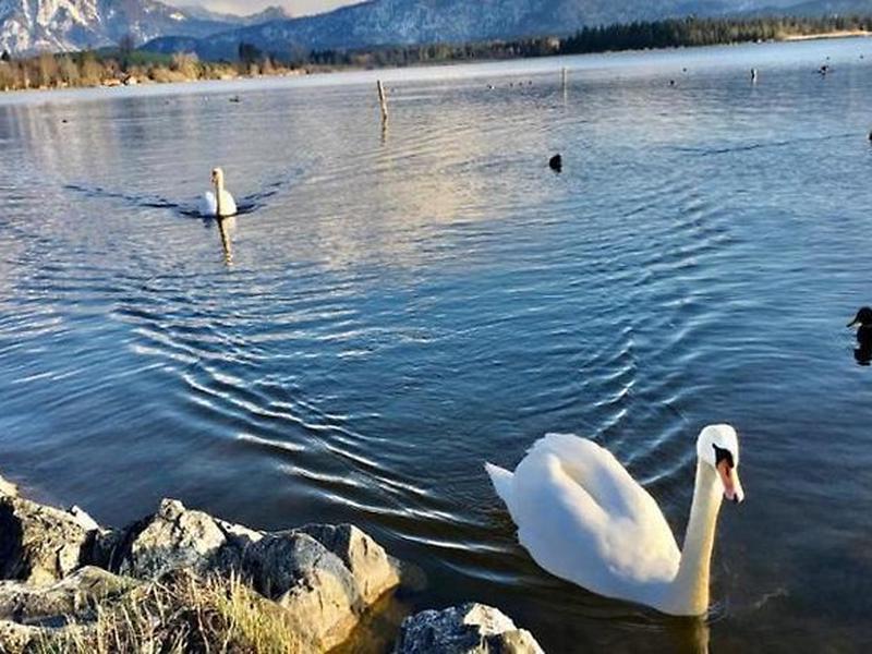 2FA1D1490AAE201E41A91DE3B36171D5