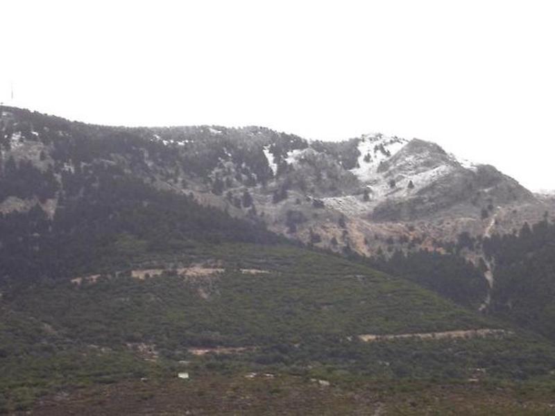 823BE8DCA974794EBB539C9C00A8AD02