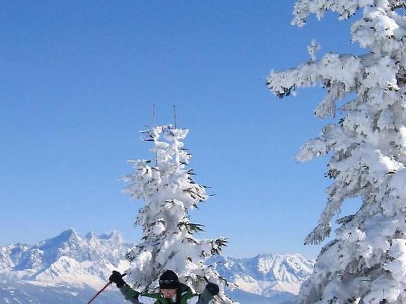 376EAF107357065A7D50CBB2164B87DE