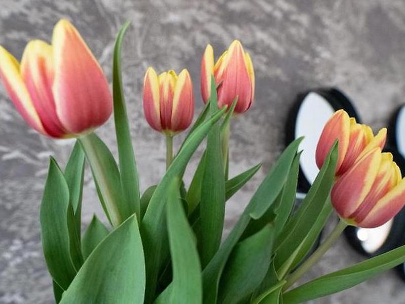 B56E3B87407C96B778808A3302617ACE