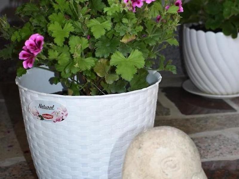 C7448F4B0887E6138BABB449ECABBAAA