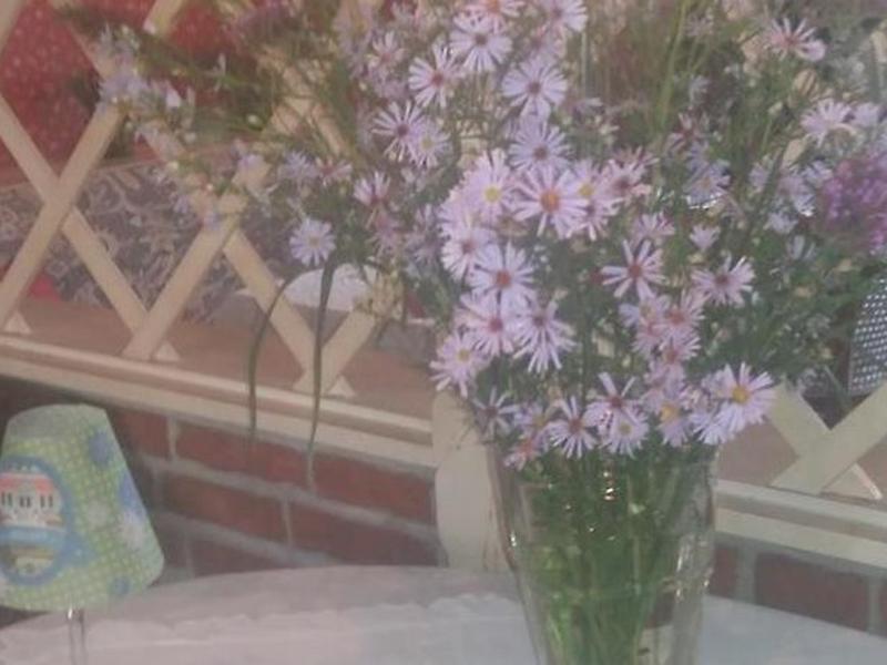 E2B80F390E7AD84526FF264E4EA5B557