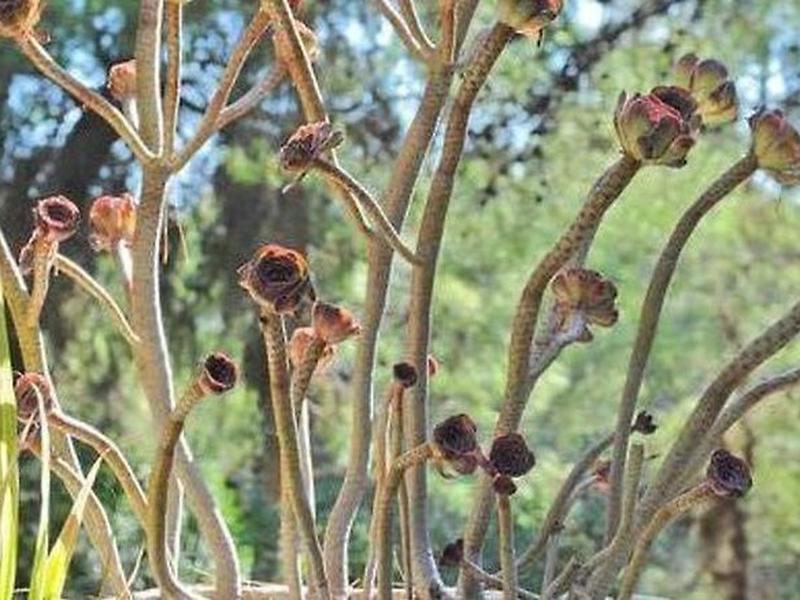 85C468A54E89D42C4A83A1F3E87783B7