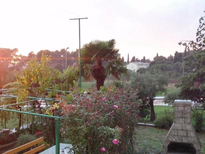 D6E25672E0F0054C65B4A9063C7249A1