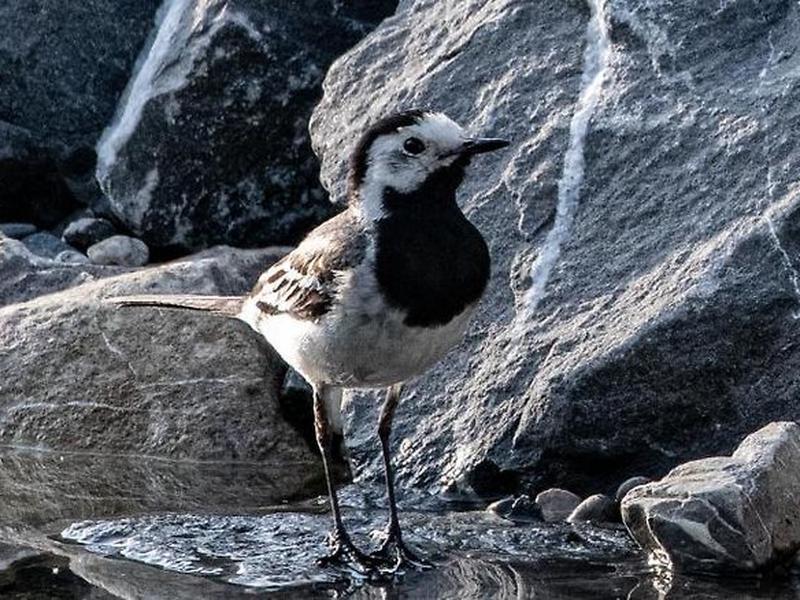 7D97D8DB9475FE3535814EAE489338AD