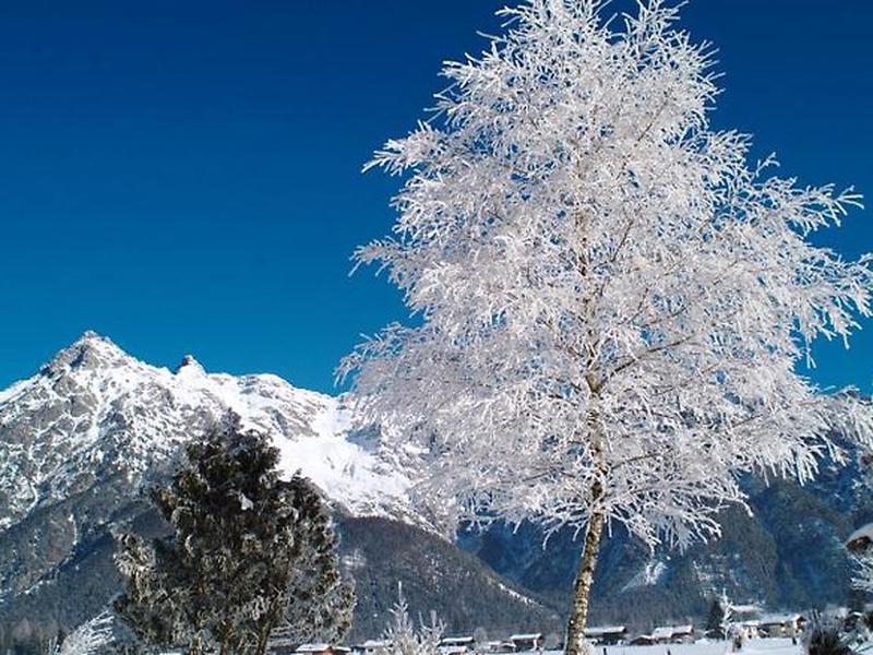 E1EA15EB8B0A306CF912FB6D24EF1250