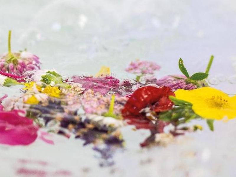 113765BA0E155324D430179E8031D6B1