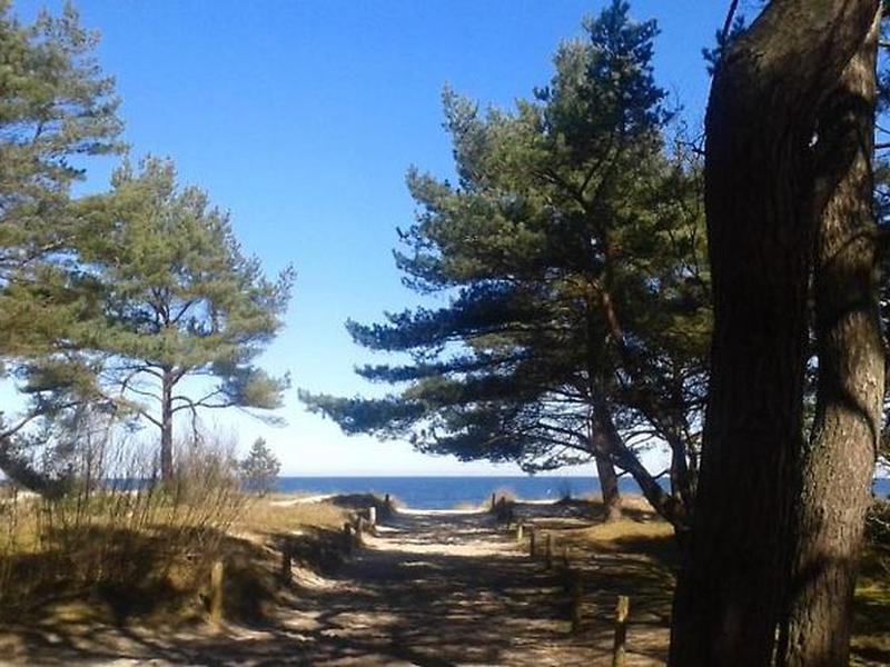 02FFF52992809AF54B7619A2D2686703