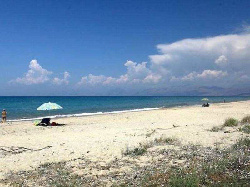 316A472BA702552E4E81E2D592A0F6EA