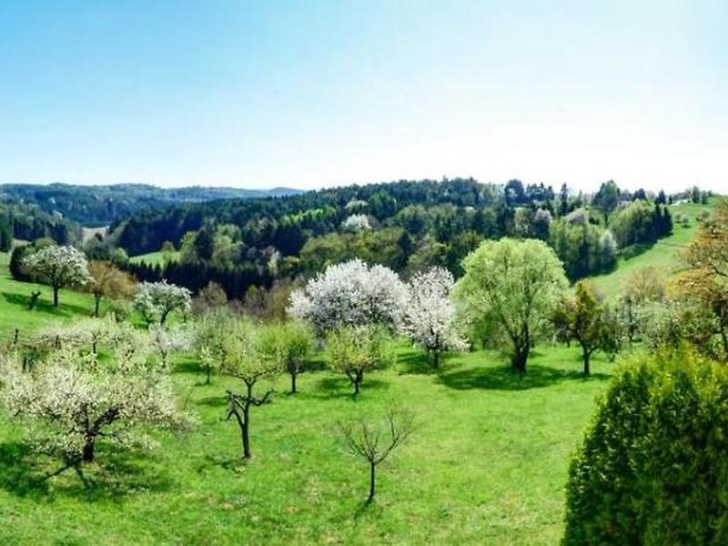 1B340080F11EF4B0FD1107D2FBD5565F