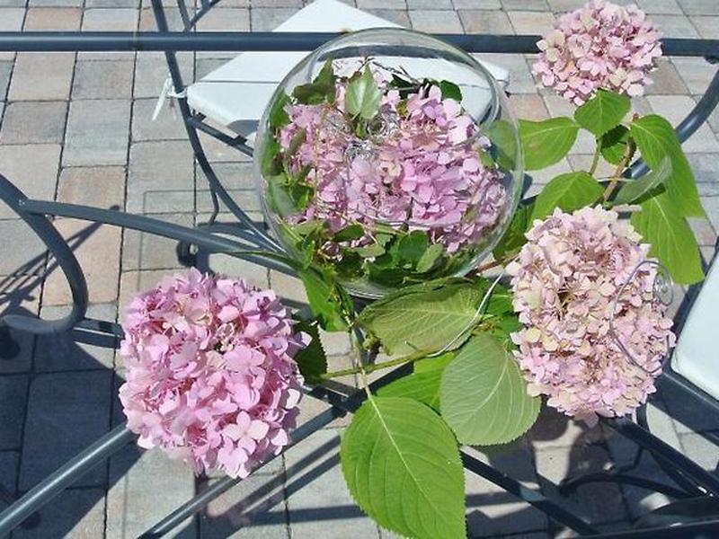 D5E48E80CC4A1036DD73DFF1D0A9DEB1