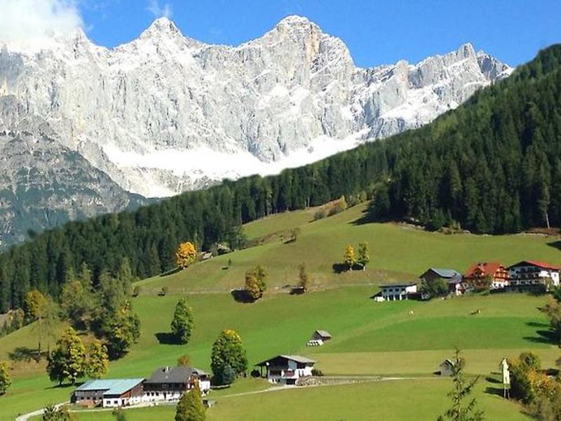 0B3E70B77E58B4CED60837478893422D