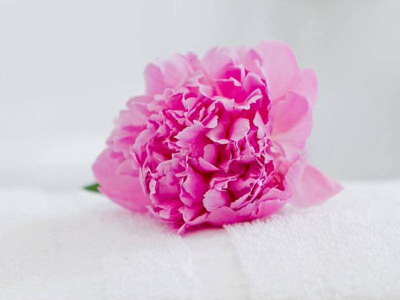 31B176A77A9CECA6D80ABF78DB10F0D0