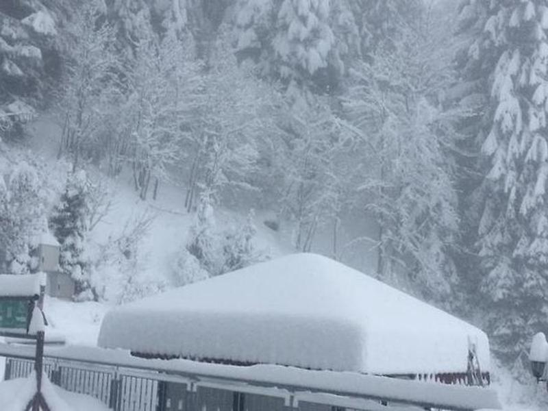 0181902C3B2559280F72D13695FABD72