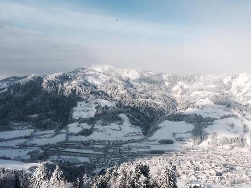 F550B5C91D0E19620A58C0A45104E992