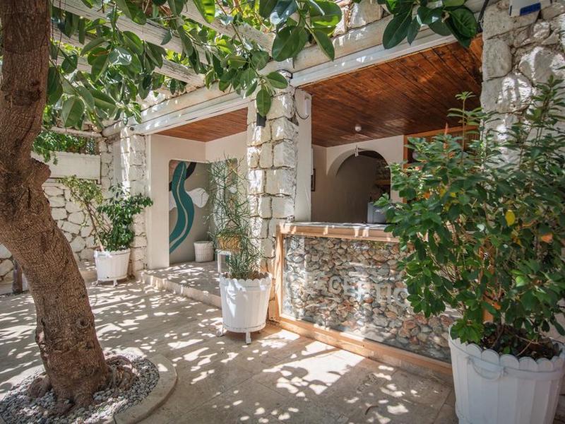 C8EF7D8AB778B751E8C0F12F8595B02F