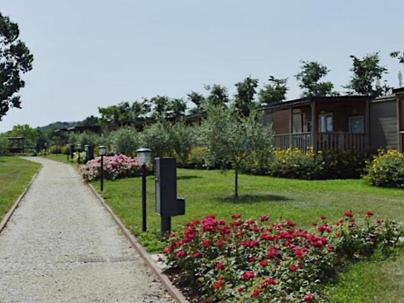 AEF2E81B40F97733415B11B305117227