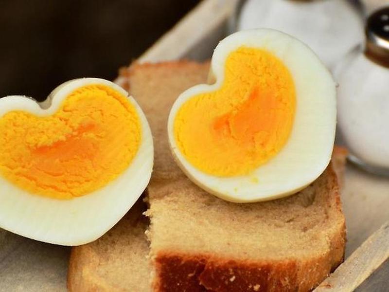 D0386FEBC9C3E044ECF150F72657EF5E