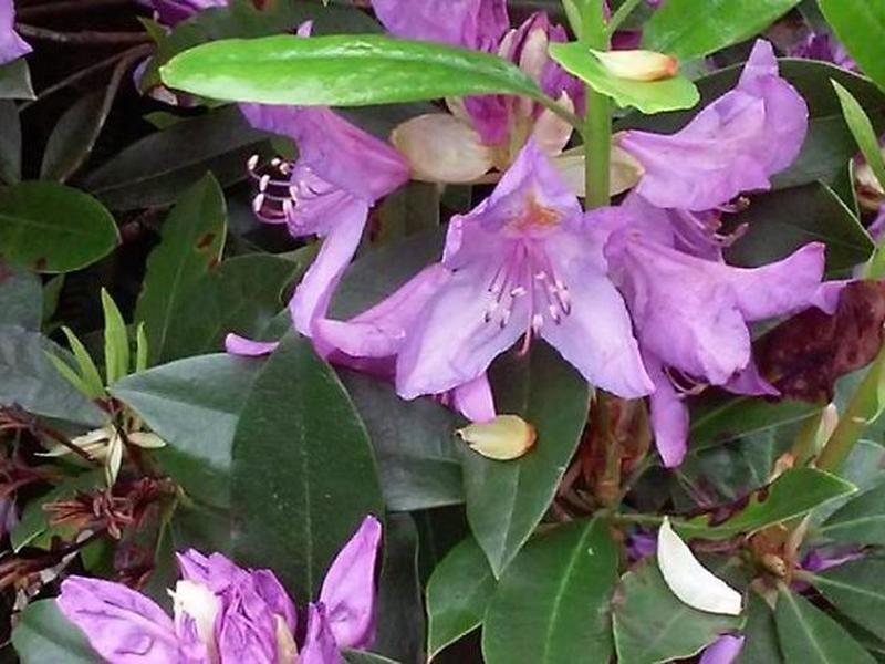 5107EE5F50692E340920D91F0D5BFE87