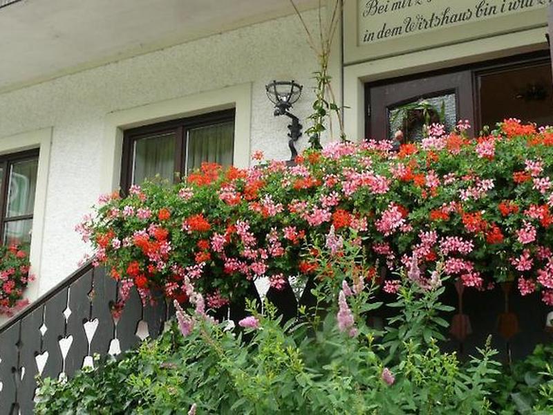 2ED8E5A4854CD282748F696D705FC7E8