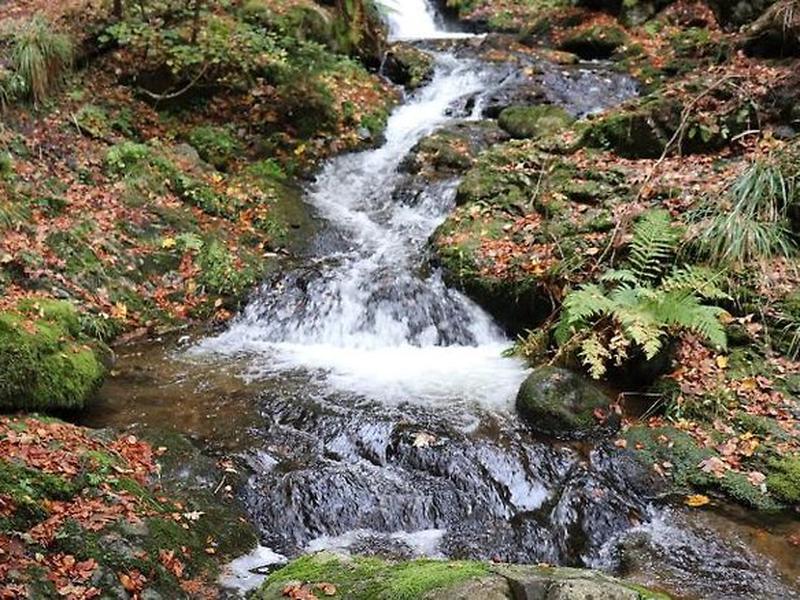 29EA7276A742749E15CFCABBA9E651C3