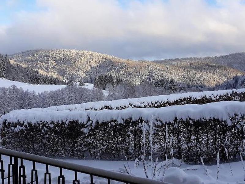 2445BDA1AC20869EC2F5B9C2AB15CBE3