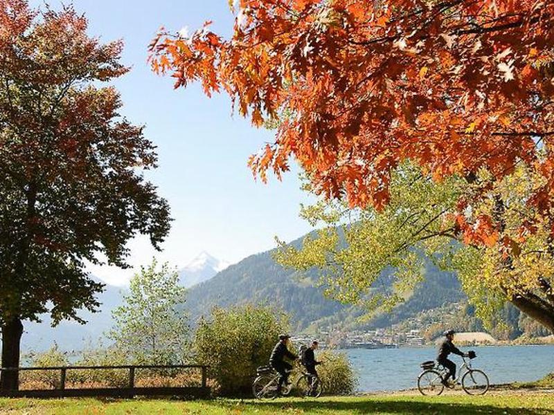 9F39DA0D84610AFCA62E0E3FE397E0CB