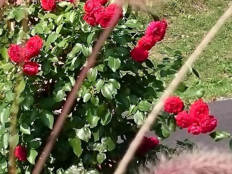 394797735391F112D861CB8B3F5E4EEC