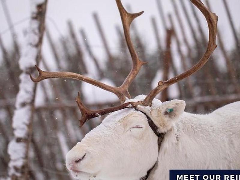 0023EE7F492DC558C7CADD30497E0515