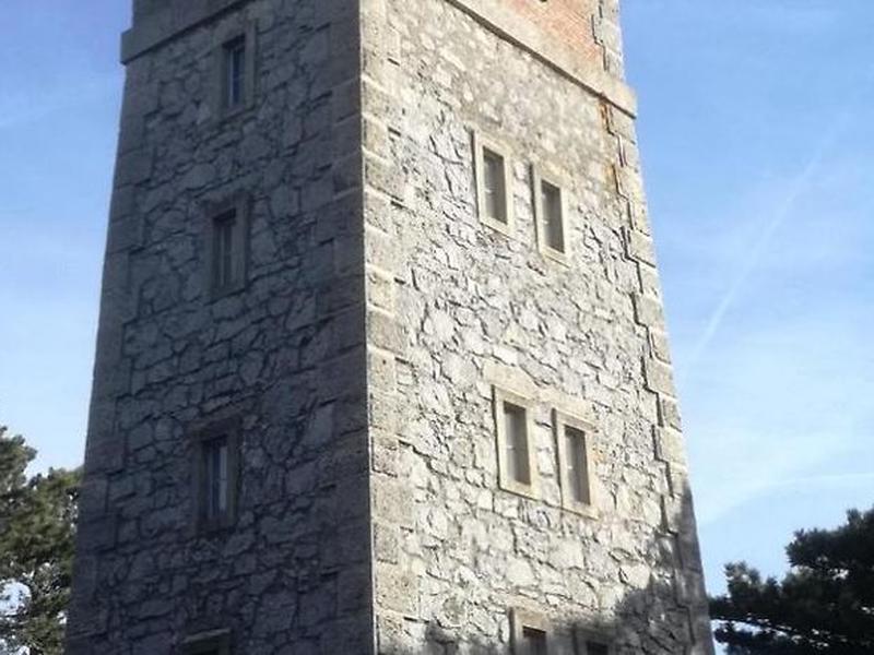 C49E9E3ABBD4F11C6F5CC24E8E0D874B