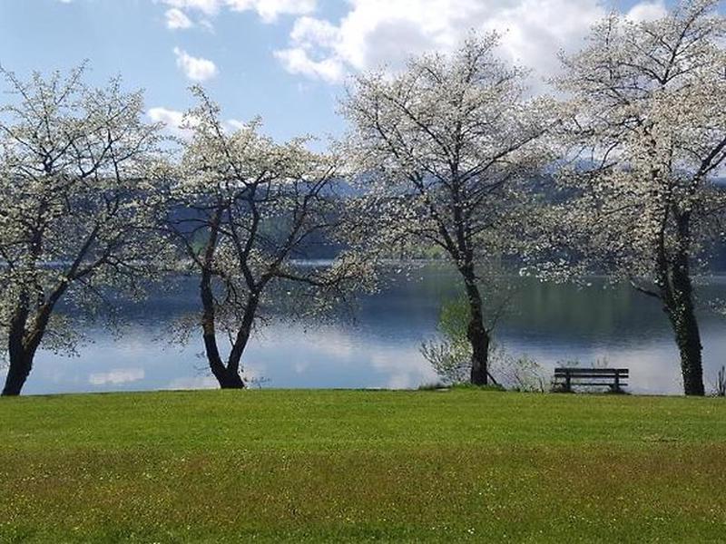 45495B2F0ABC6BBBA342156C10CE0A79