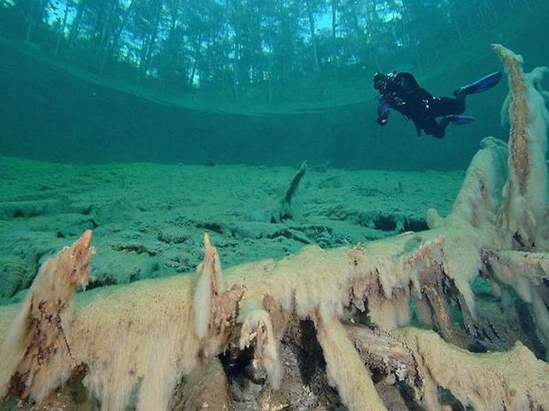 2EA120CA1D90C214A8FF48FD3A33F932