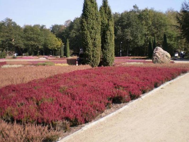 42A156D1F6591EF5106304ECD347207A