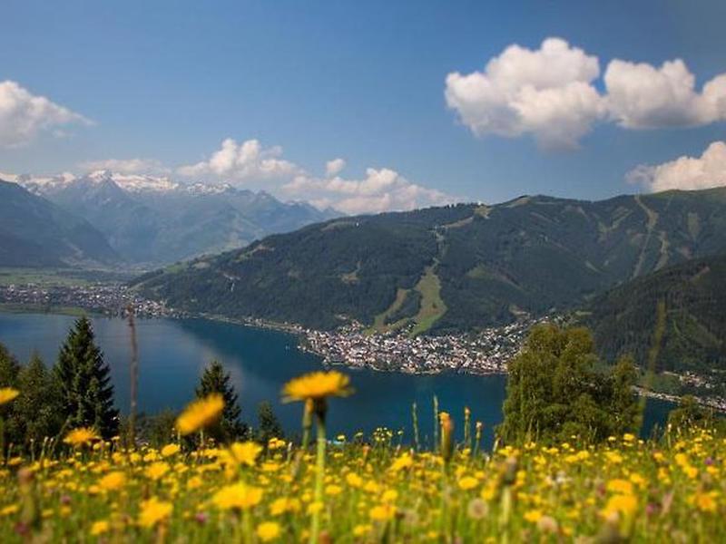 22EFA23065C5EE5CCEFA01D996E29AE3