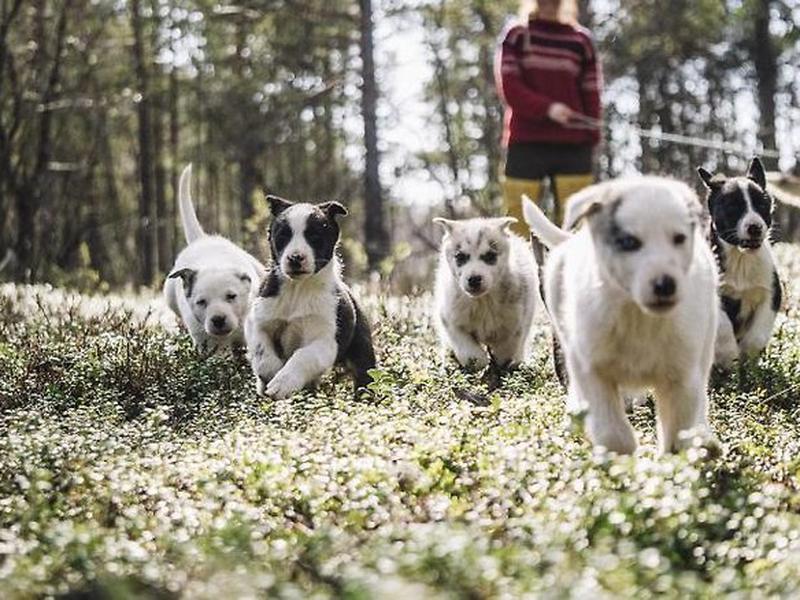 ADFCA5ADE7FA94B4C186C1B3B2B738DA