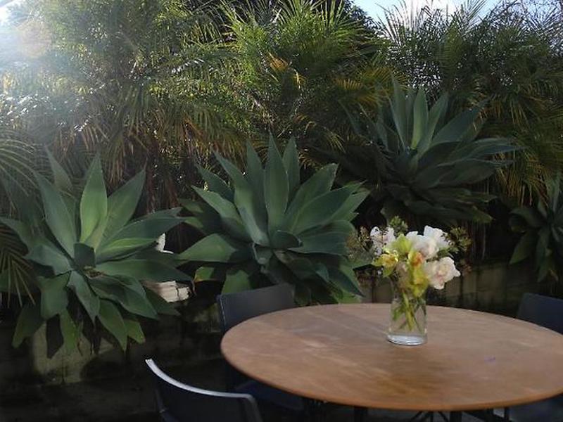 4C1329EC79DB372F9AD31CEE3C2E50D2