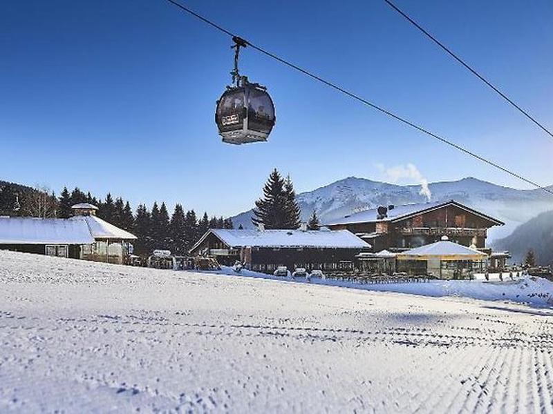 224DC0F2954A9E7F1327BC00D794F878