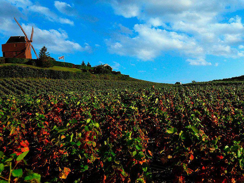 573692B3B31795DE70A3BBF57B09D130