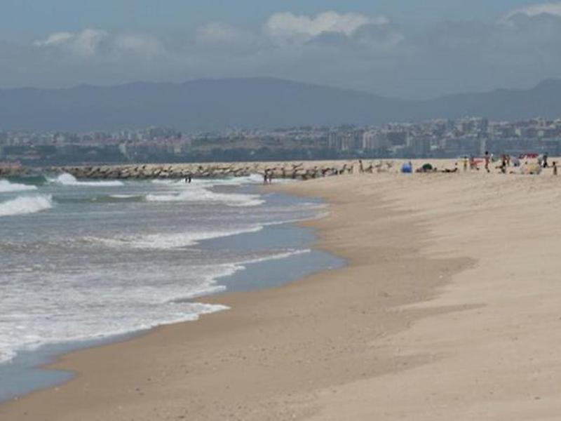 CDC1DC6DD40F442E43AE43FBC6460AF9